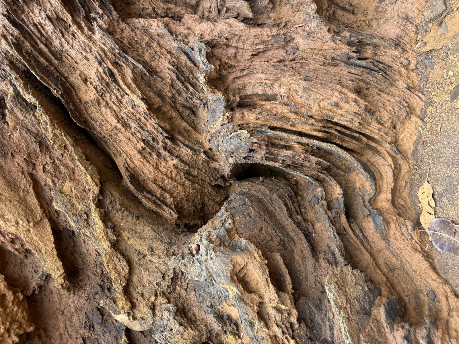 Florália high-grade hematite samples